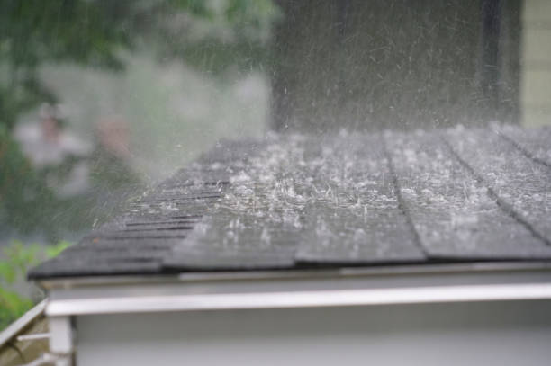 Best Roof Insulation Installation  in Idabel, OK